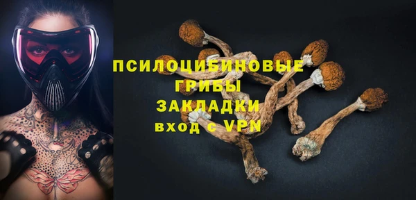 молекула духа Алексеевка