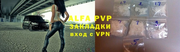 индика Алексин