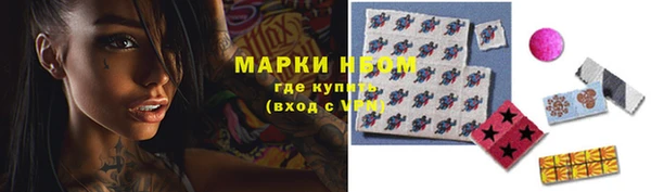 гидропоника Алзамай