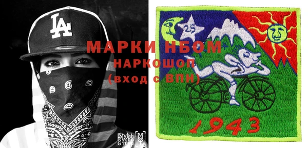 индика Алексин