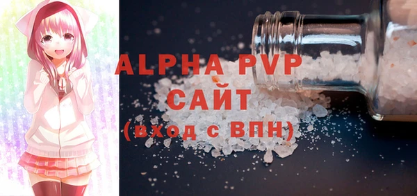 индика Алексин